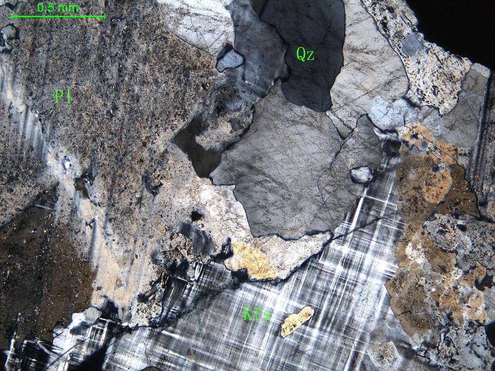 细粒花岗闪长岩