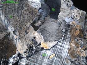 细粒花岗闪长岩