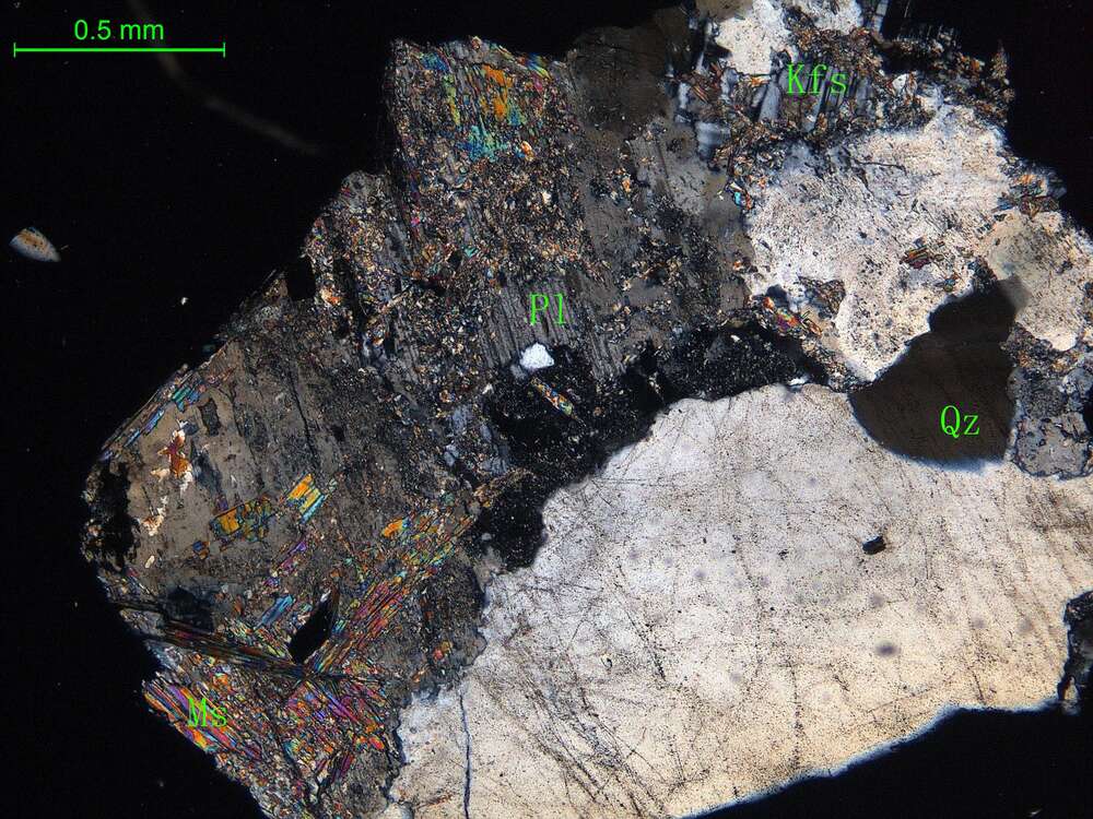 细中粒花岗闪长岩