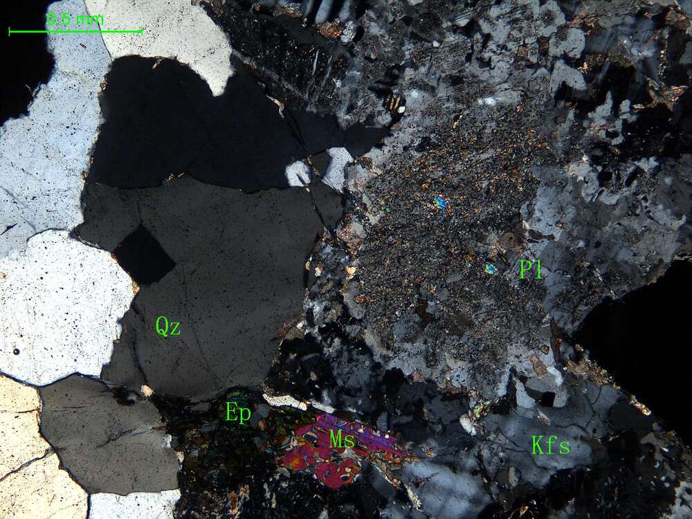 细中粒花岗闪长岩