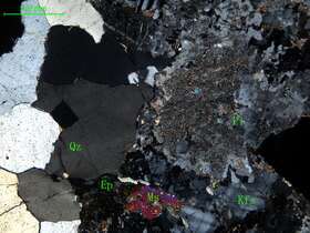 细中粒花岗闪长岩