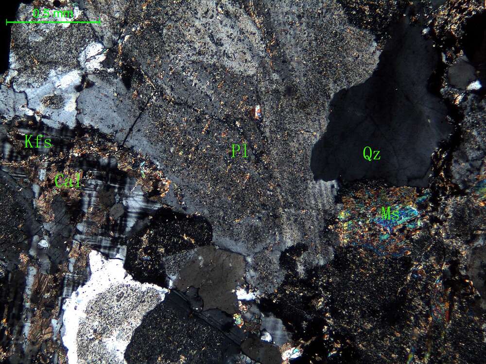 细中粒花岗闪长岩