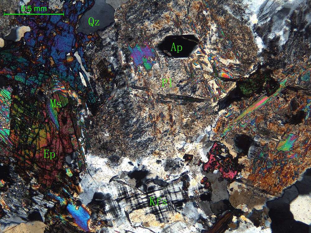 细中粒花岗闪长岩