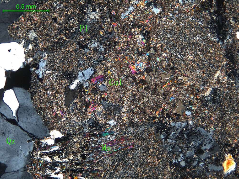 细中粒斜长花岗岩