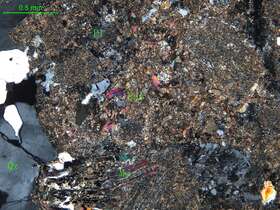 细中粒斜长花岗岩