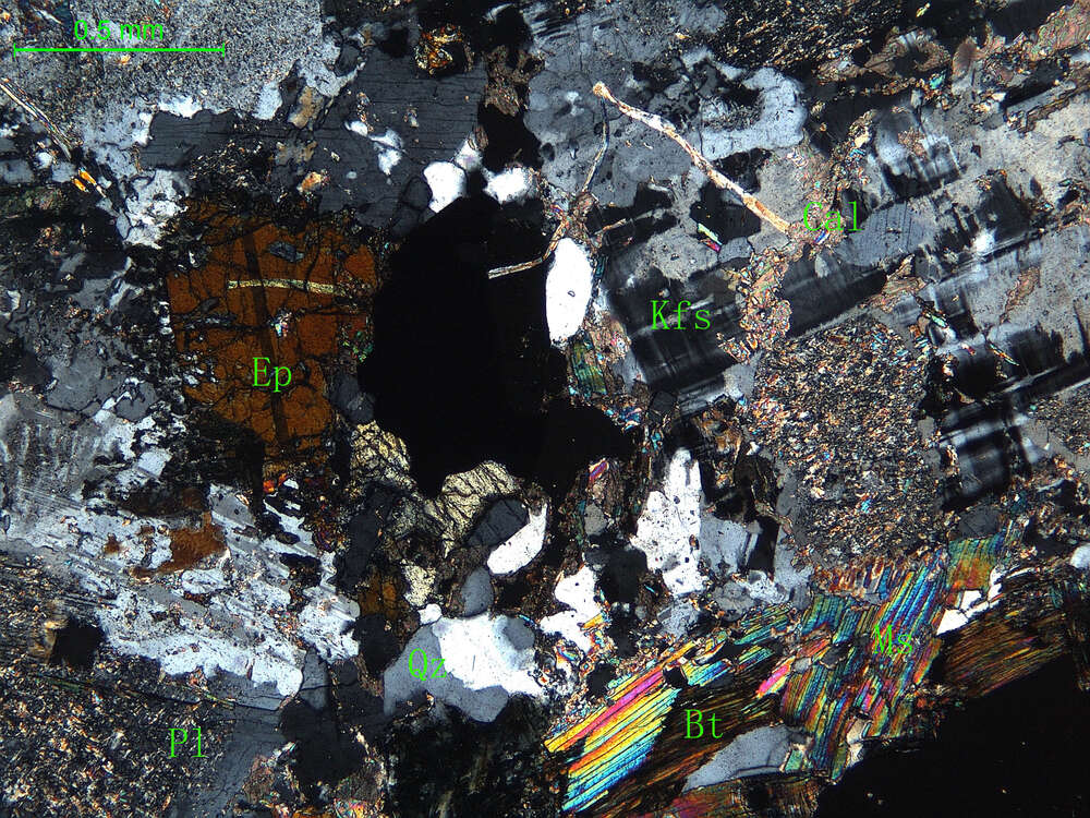 细中粒花岗闪长岩