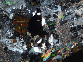 细中粒花岗闪长岩