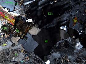 细中粒花岗闪长岩