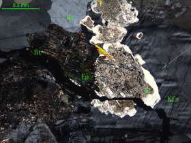 细中粒花岗闪长岩