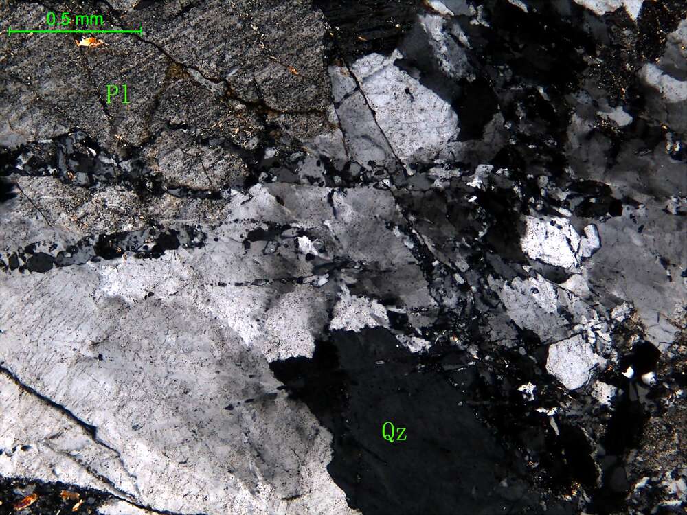 受构造挤压破碎细粒花岗岩