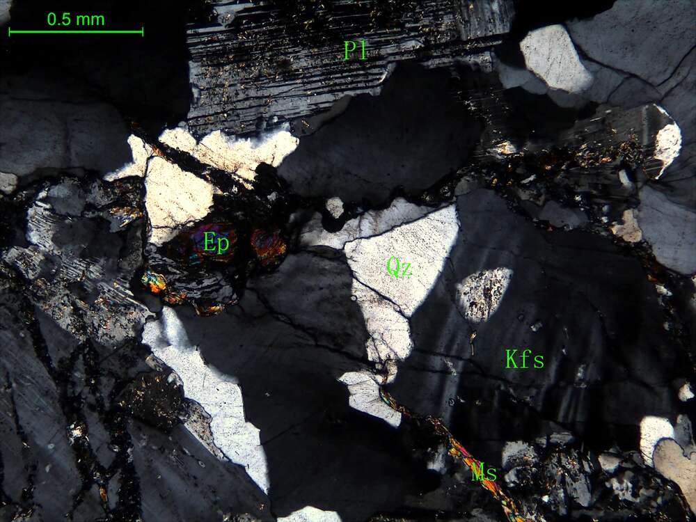 细中粒花岗闪长岩