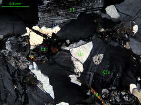 细中粒花岗闪长岩