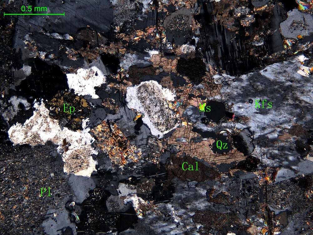 细中粒花岗闪长岩