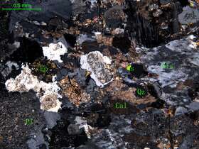 细中粒花岗闪长岩