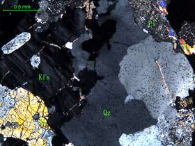 细中粒花岗闪长岩