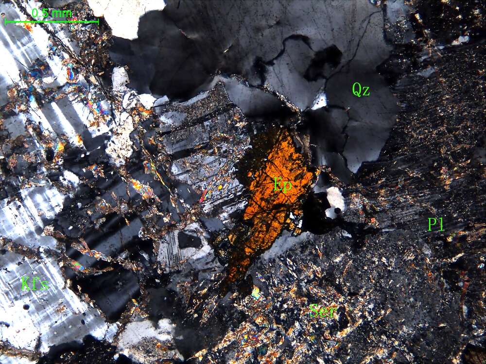 细中粒花岗闪长岩