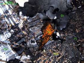 细中粒花岗闪长岩