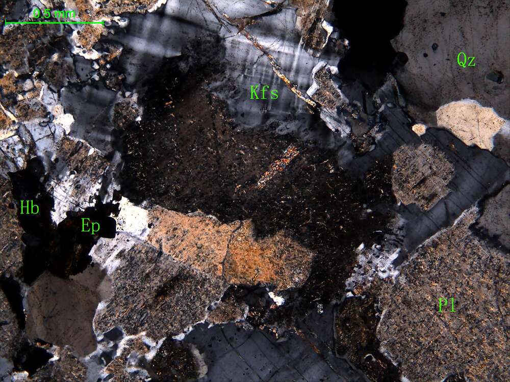 细中粒花岗闪长岩