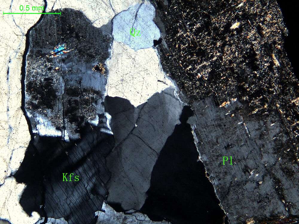 细中粒花岗闪长岩