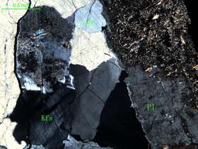 细中粒花岗闪长岩