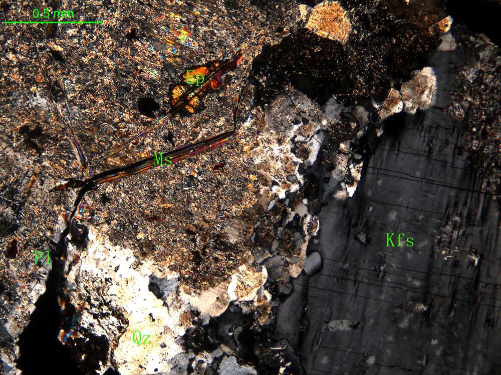 细中粒花岗闪长岩