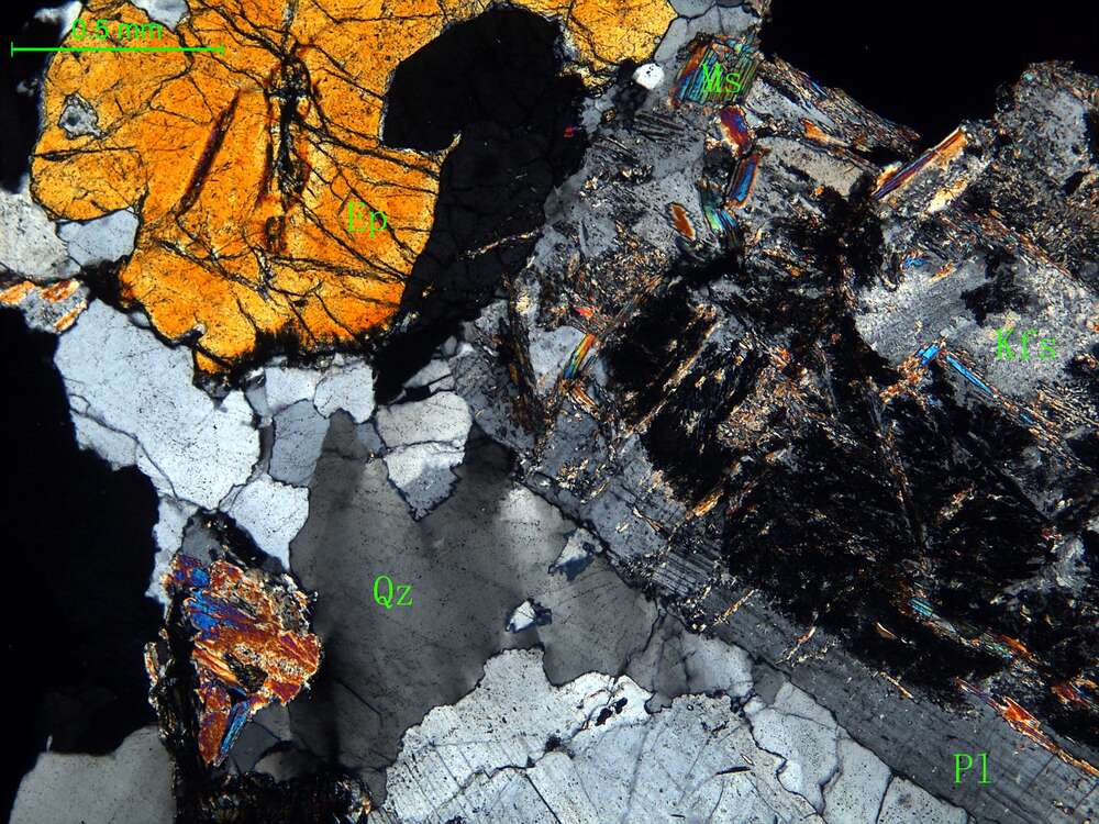 细中粒花岗闪长岩