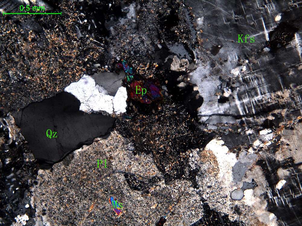 细中粒花岗闪长岩