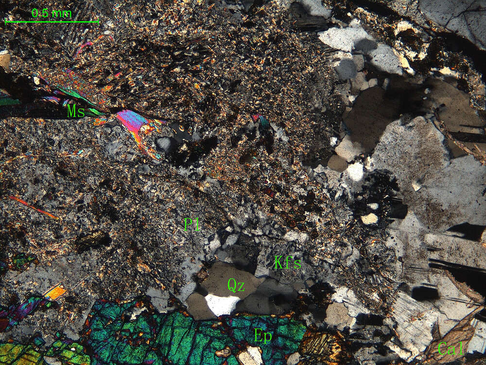 细中粒花岗闪长岩