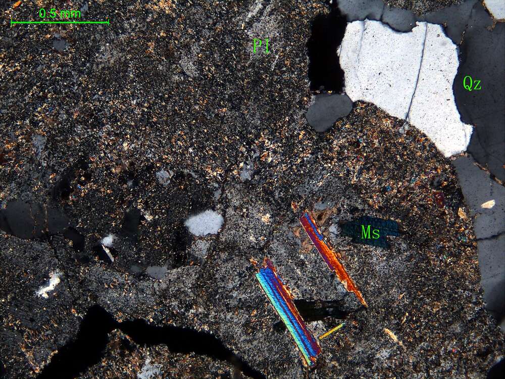 中细粒花岗闪长岩