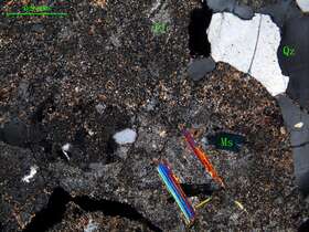 中细粒花岗闪长岩