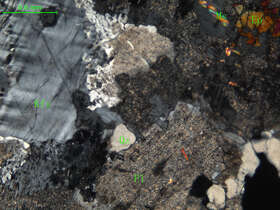 细中粒花岗闪长岩