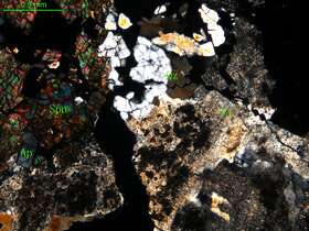 中细粒花岗闪长岩