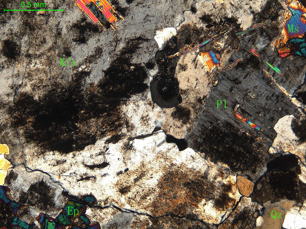 细中粒花岗闪长岩