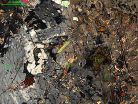 细中粒花岗闪长岩