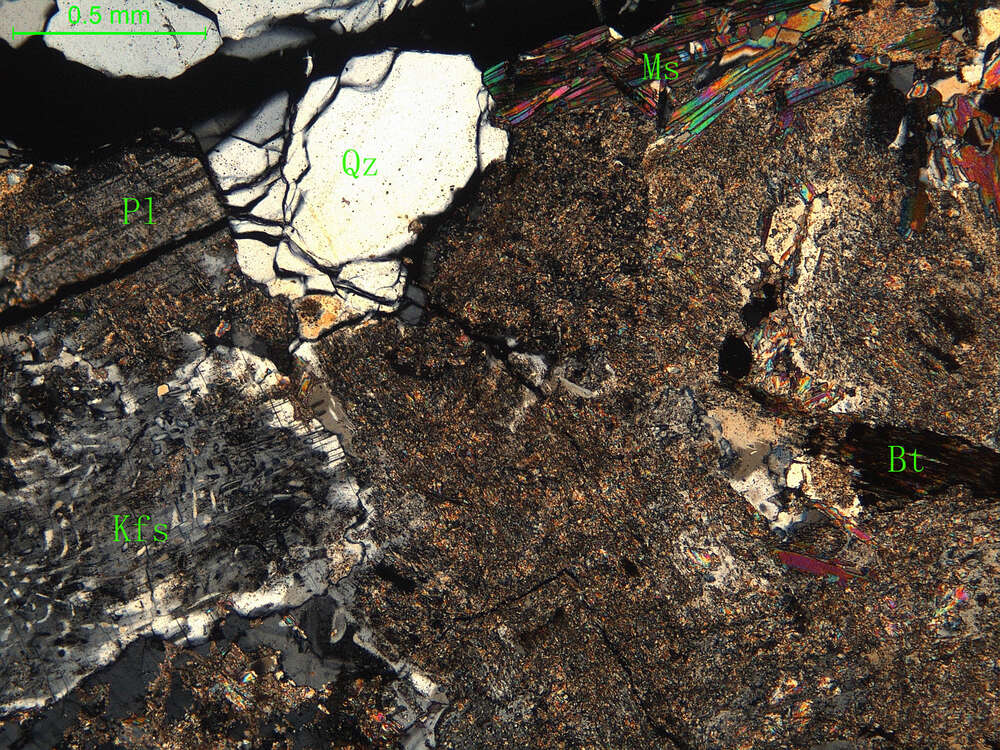 细中粒花岗闪长岩