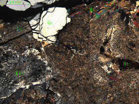 细中粒花岗闪长岩