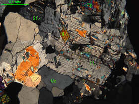 细中粒花岗闪长岩