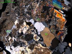 细中粒花岗闪长岩