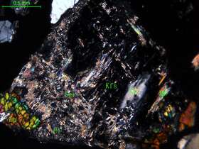 细中粒花岗闪长岩