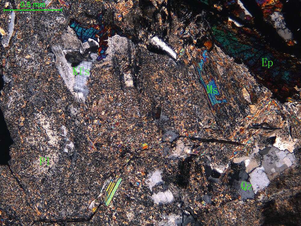 细中粒花岗闪长岩