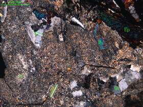 细中粒花岗闪长岩