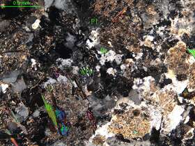 细中粒花岗闪长岩