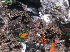 细中粒花岗闪长岩