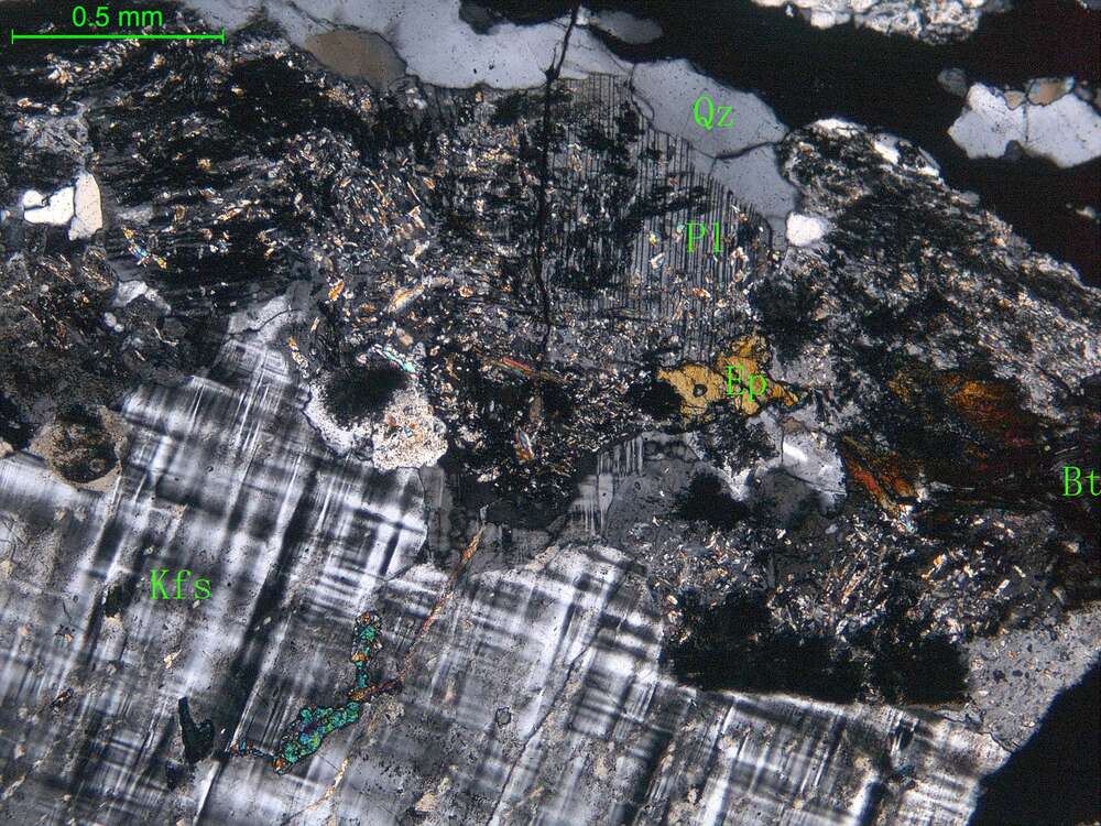 细中粒花岗闪长岩