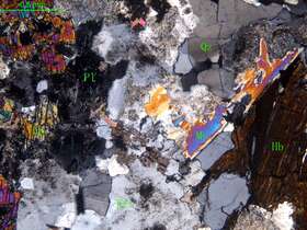 细中粒花岗闪长岩