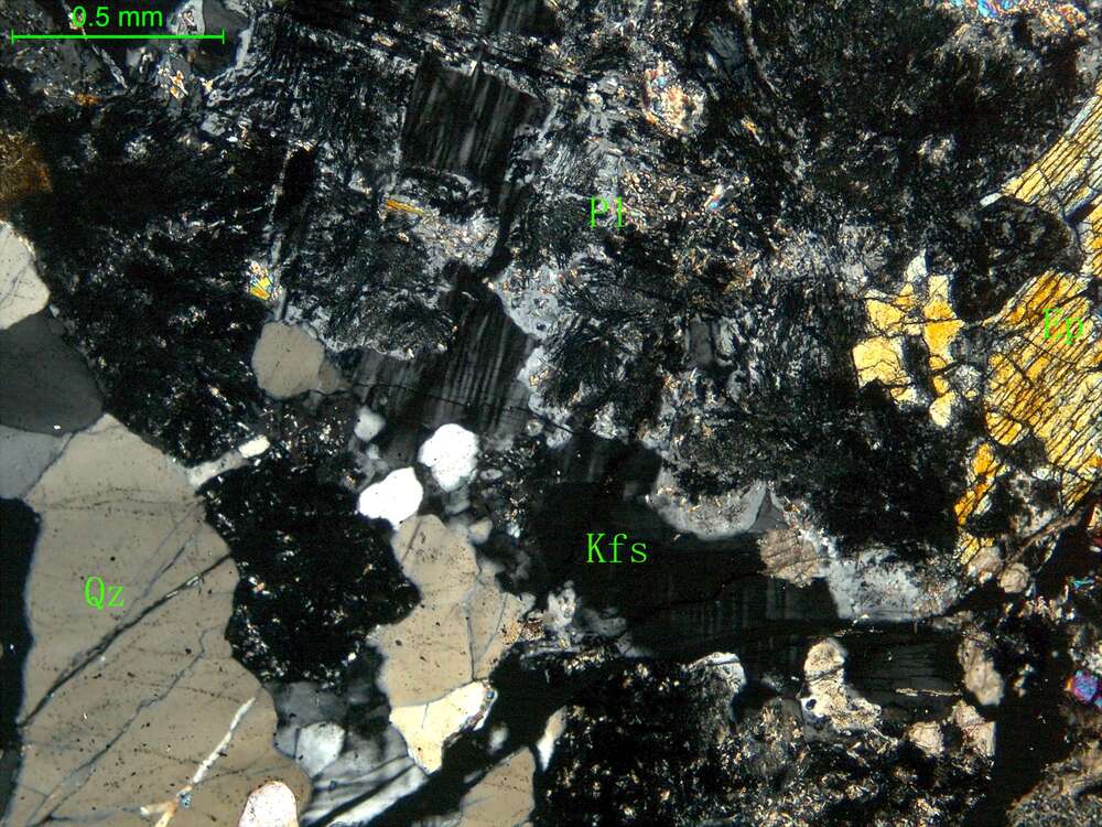 细中粒花岗闪长岩