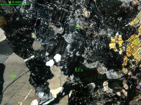 细中粒花岗闪长岩