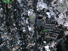 碎裂花岗闪长岩