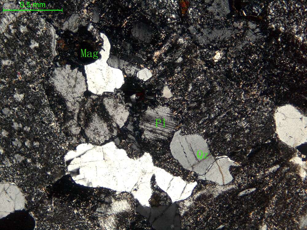 蚀变细粒石英闪长岩
