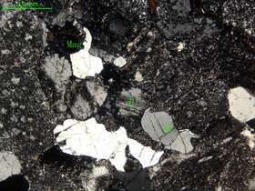 蚀变细粒石英闪长岩